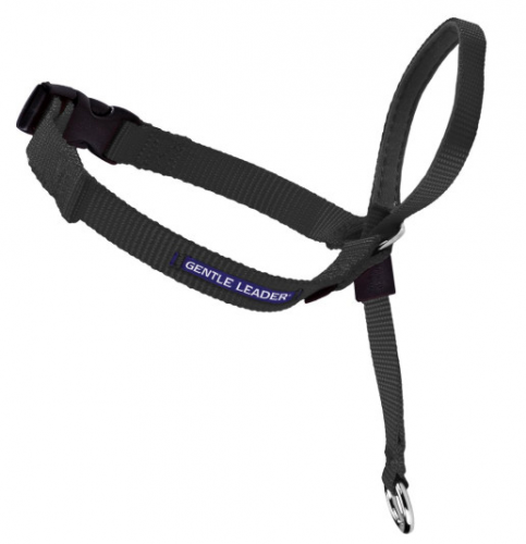 Gentle Leader Quick Release Black Headcollar for Dogs