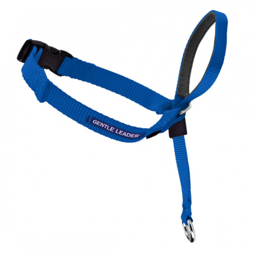 Gentle Leader Quick Release Royal Blue Headcollar for Dogs