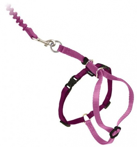 with Me Kitty Dusty Rose & Burgundy Harness and Bungee Leash for Cats