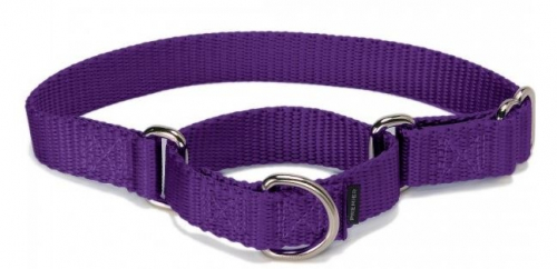 Martingale Deep Purple Pet Collar