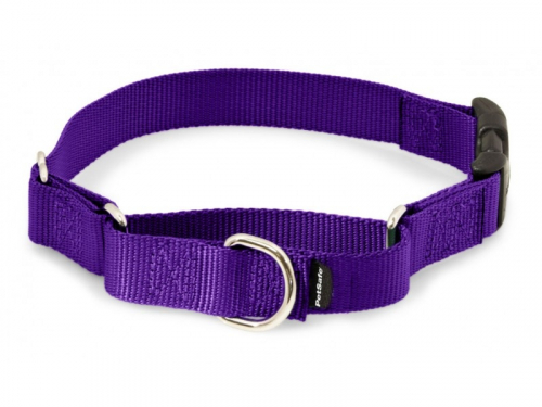 Martingale Deep Purple Quick Snap Pet Collar