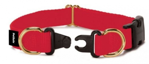 Safe Break Away Red Dog Collar