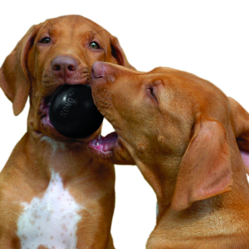 Ball Dog Toy - Image 3