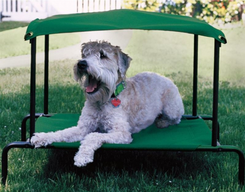 Bed Outdoor Dog Bed