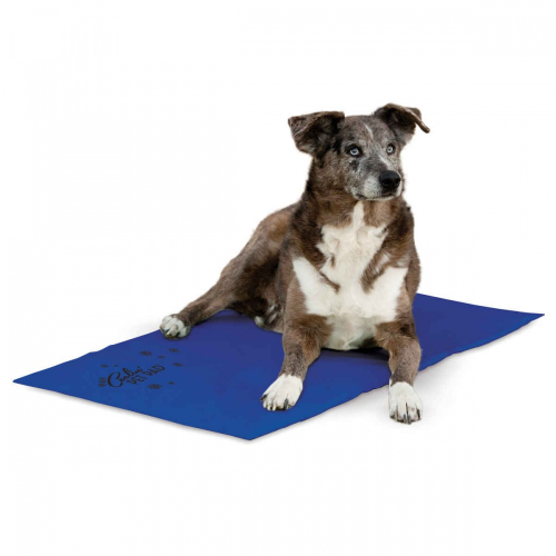 Products Coolin Pet Pad