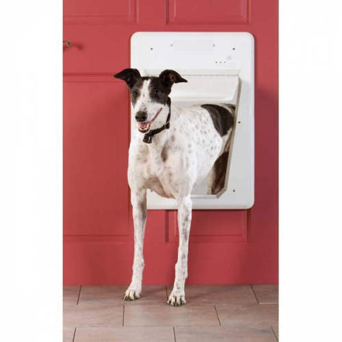 White Dog Door