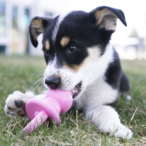 Binkie Teething Dog Toy - Image 4