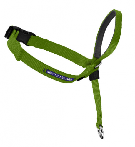 Gentle Leader Quick Release Green Apple Headcollar for Dogs