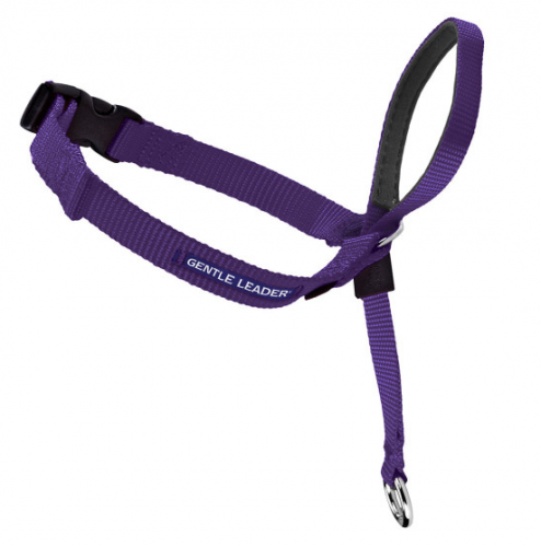 Gentle Leader Quick Release Purple Headcollar for Dogs