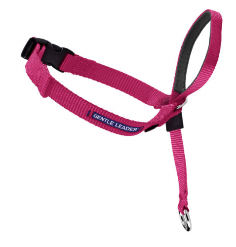 Gentle Leader Quick Release Raspberry Headcollar for Dogs