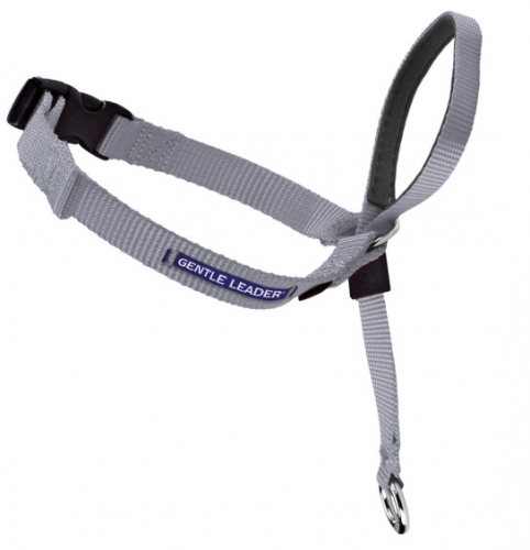 Gentle Leader Quick Release Silver Headcollar for Dogs