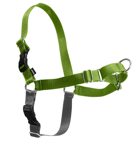 Walk Green Apple & Gray Dog Harness