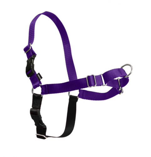 Walk Deep Purple & Black Dog Harness