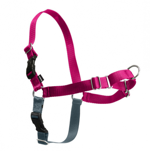 Walk Raspberry & Gray Dog Harness