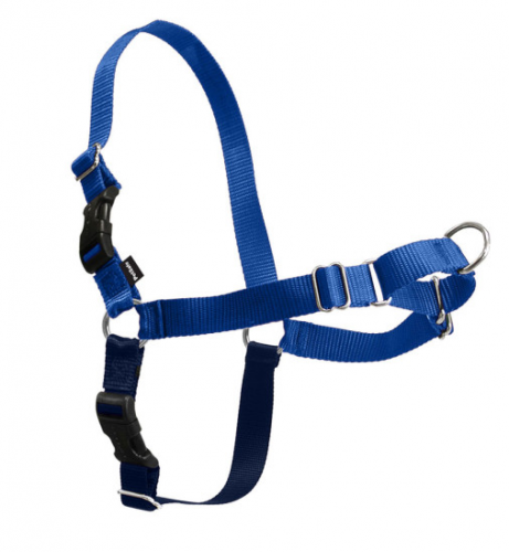 Walk Royal Blue & Navy Dog Harness