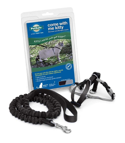 with Me Kitty Black & Silver Harness and Bungee Leash for Cats - Image 4