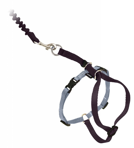 with Me Kitty Black & Silver Harness and Bungee Leash for Cats