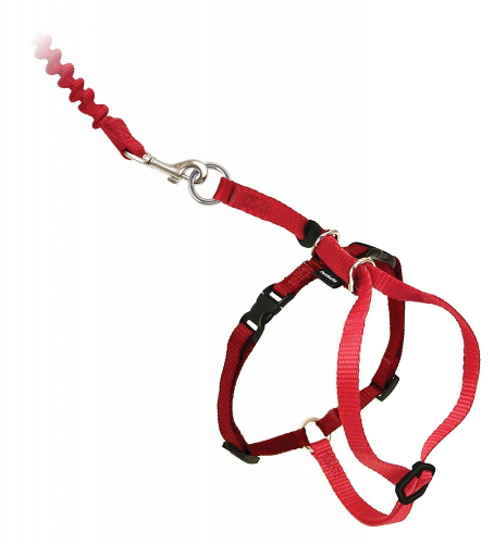 with Me Kitty Red & Cranberry Harness and Bungee Leash for Cats