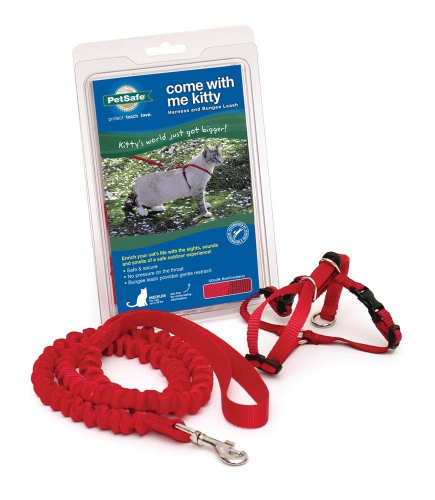 with Me Kitty Red & Cranberry Harness and Bungee Leash for Cats - Image 4