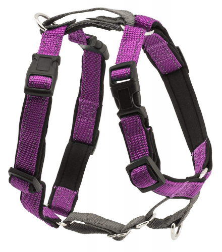 in 1 Plum Dog Harness