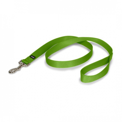 Apple Green Nylon Dog Leash