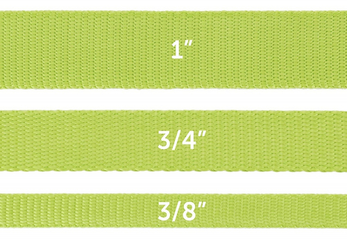 Apple Green Nylon Dog Leash - Image 3