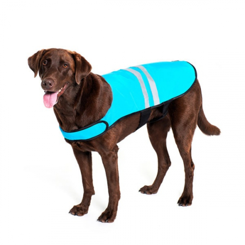 Gear Blue Cooling Dog Vest - Image 3