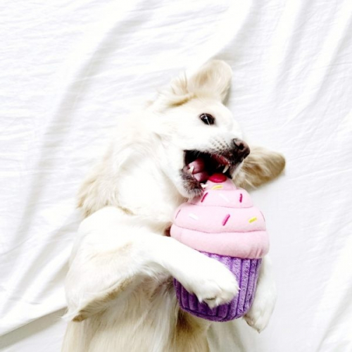 Cupcake Plush Dog Toy - Image 3