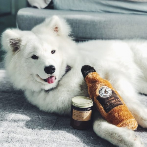 Hour Crusherz Whiskey Plush Dog Toy - Image 3