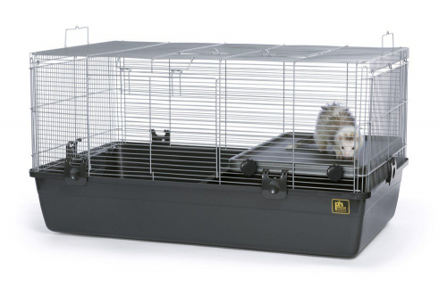 Prevue Small Animal Home - Image 4
