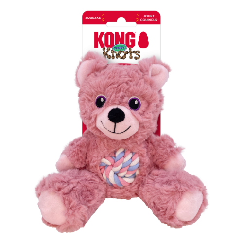Teddy Assorted Dog Toy