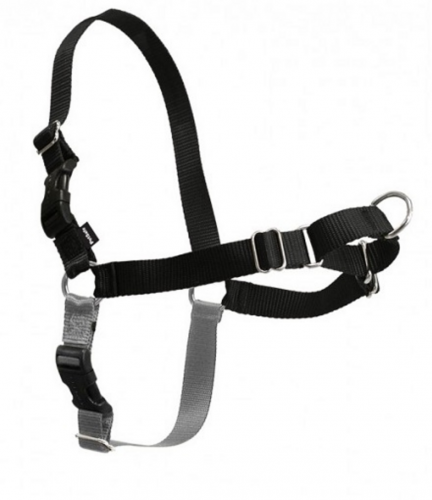 Walk Black & Silver Dog Harness