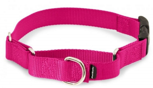 Martingale Raspberry Quick Snap Pet Collar