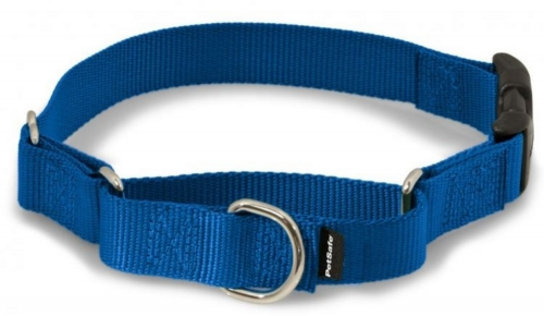 Martingale Royal Blue Quick Snap Pet Collar