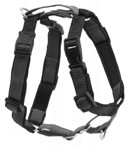 in 1 Black Dog Harness