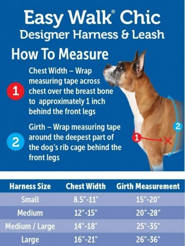 in 1 Black Dog Harness - Image 5