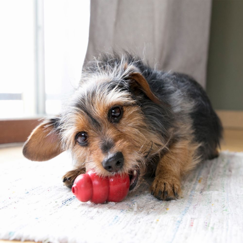 Dog Toy - Image 4