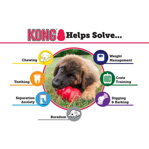 Dog Toy - Image 3