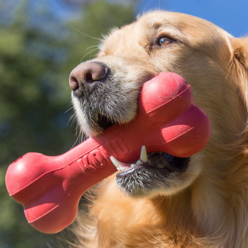 Bone Dog Toy - Image 3