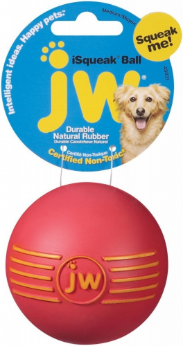 iSqueak Ball Dog Toy - Image 3