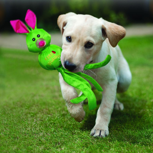 Ballistic Friends Dog Toy - Image 4
