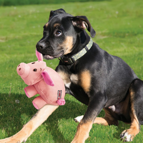 Pig Plush Dog Toy - Image 3