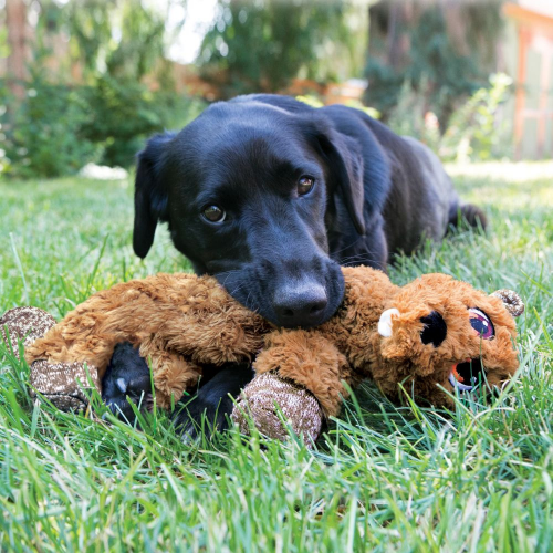 Stuff Flopzie Beaver Dog Toy Dog Toy - Image 3