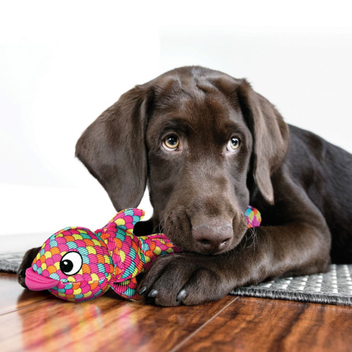 Finz Dog Toy - Image 4